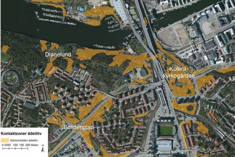 Ädellövskog och annan lövskog Även Årstaskogens ädellövskog har höga naturvärden. Högvuxen ädellövskog med sekundära trädslag är ovanligt i Stockholm och kräver lång kontinuitet.