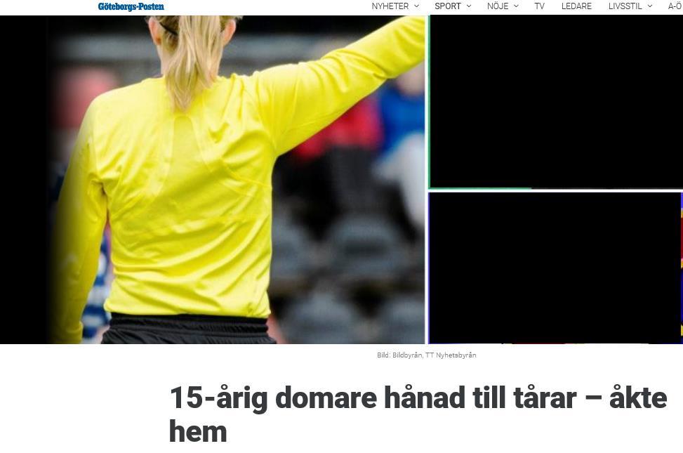 Stämningen kring fotbollsmatcher för barn Ska vi domare tåla vad som helst? Problem med ledare och föräldrar?