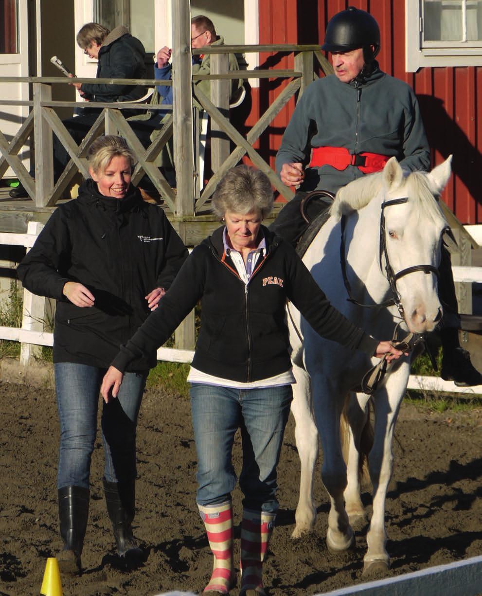 Huntingtons Hästens tredimensionella rörelser ger en sensimotorisk upplevelse som liknar den som sker vid normal gång.