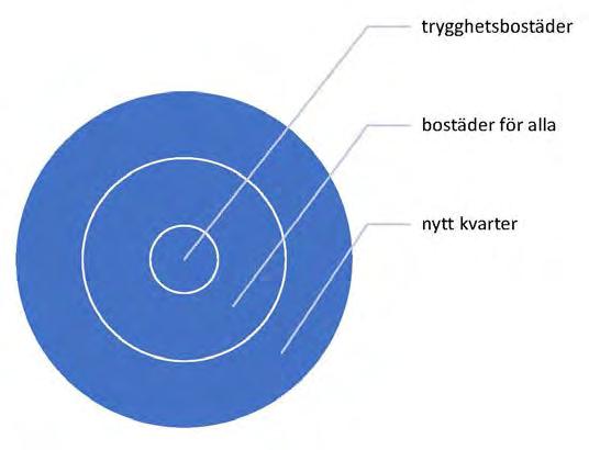 Figur 3. Typ av resultat. materiella immateriella Projektets räckvidd är relativt omfattande.
