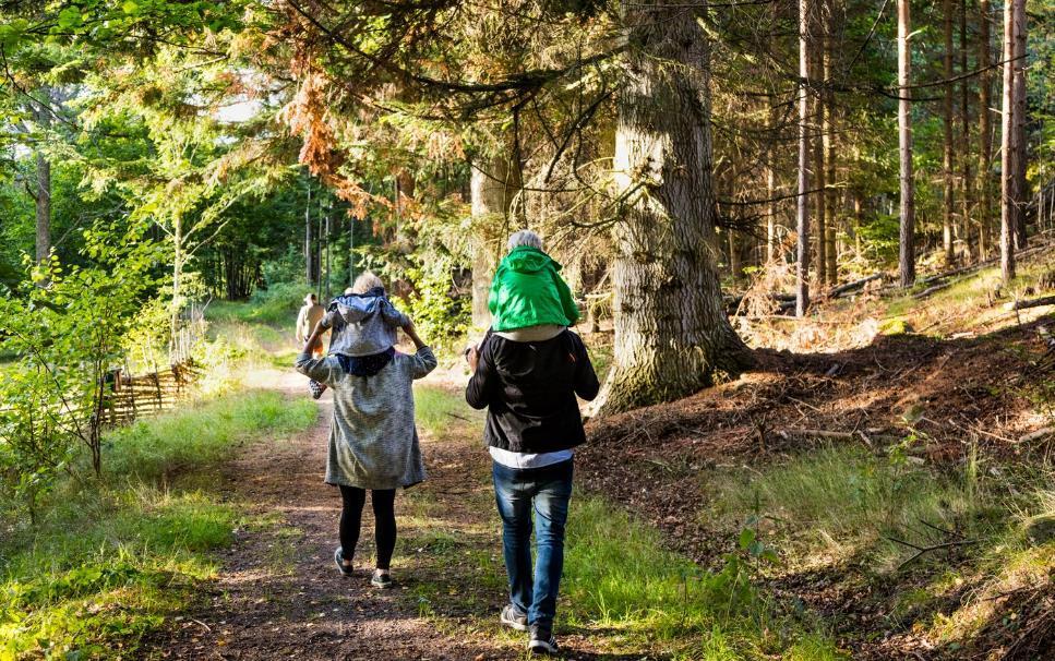 Utifrån påverkaskartläggningen tar vi fram en persona som gör det