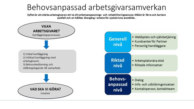 10 (20) stödja arbetsgivaren i att hantera de identifierade problemen med sjukfrånvaron på flera nivåer i organisationen.