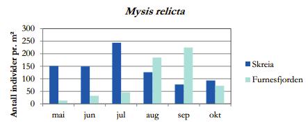 4 Fortsatta undersökningar De glacialrelikta kräftdjur som har den största individtätheten i Vänern och Vättern är L. macrurus, M. affinis och M. relicta s.l. (se Kinsten 2012b). En av arterna, M.