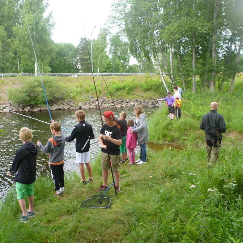 Värmland Fiske