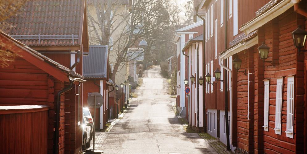 Vi sätter fokus på fyra områden Under 2016 arbetade vi fram en ny vision: Tillsammans för bygdens bästa investering.