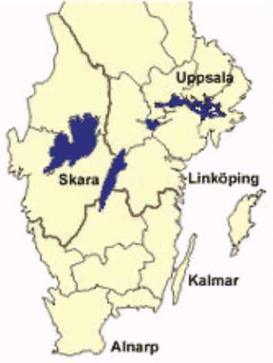 Kdr (Knock-down resistance) hos rapsbaggar i