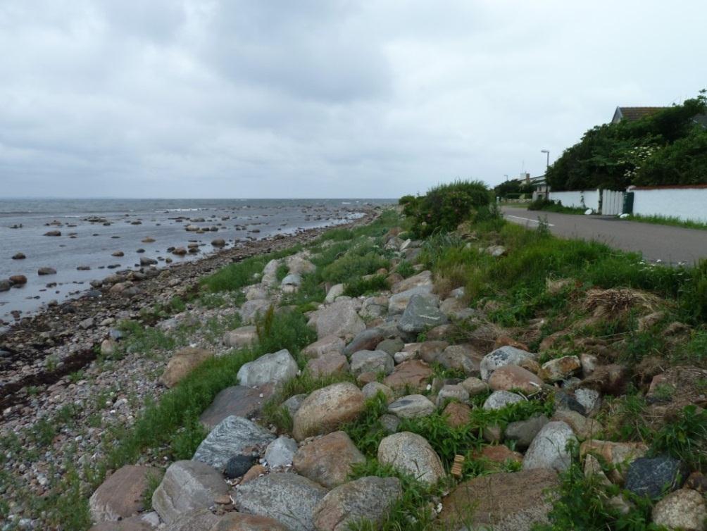 Här löper Strandlyckevägen helt nära inpå kusten och det är uppfört en stenkastning för att skydda mot erosion, se foto i Figur 2-31.
