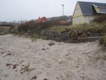 Figur 2-45 Erosion längs inre stranden norr om Lerhamn, från (Föreningen Lerhamn,
