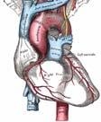 Hemodynamisk optimering Arrytmidetektering och differentiering