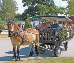 3/6 V86 Trav med Dagens Dubbel Tingsryd Travet 6/6 Nationaldags Ponnytrav Tingsryd Travet 13/6