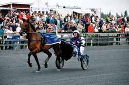 Travet 11-12/7 Shettland Syd Tingsryd Travet 27/7 Marknads Trav med V5 Tingsryd Travet AUGUST 16/8