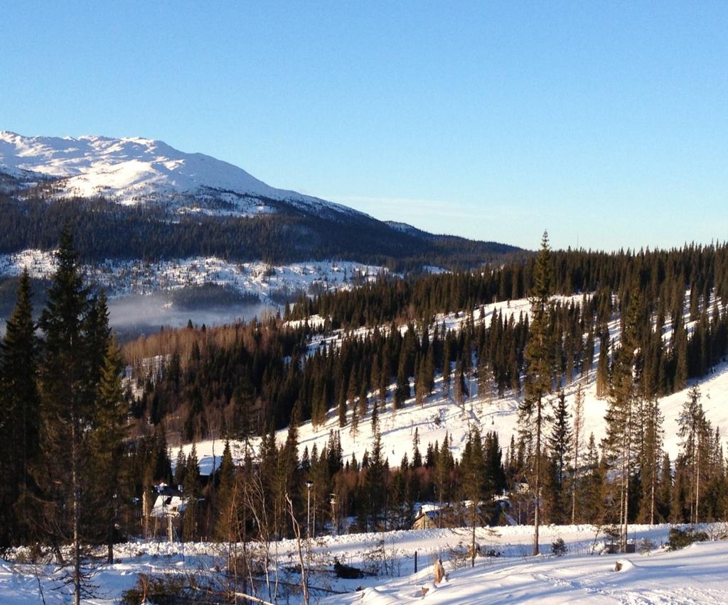 Under sommaren bjuder Åre på allt från actionfyllda aktiviteter som downhillcykling till storslagen natur och lugn.