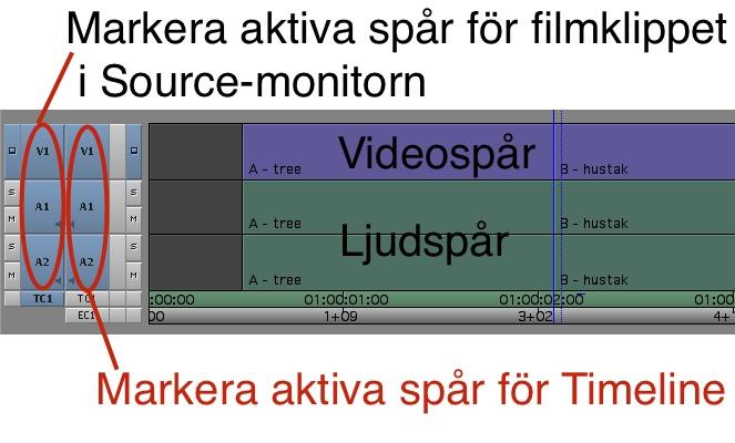 Video- och ljudspår Timeline består av ett antal olika spår. Det är i dessa spår som filmklippen läggs. Ett filmklipp består ofta av både ljud och bild.