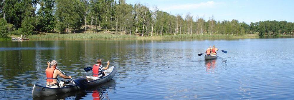 Dagbesöken är den omsättningsmässigt viktigaste kategorin med 23 % av den totala turismomsättningen 2016.