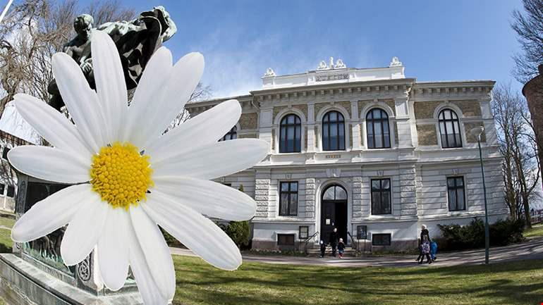 SOMMARVISNINGAR Onsdagarna 5, 12, 19 & 26 juli, 2 & 9 augusti kl. 12.15 Hör berättelserna om de afrikanska fåglarna, alligatorn i Nordiska djursalen och den egyptiska prinsessmumien!