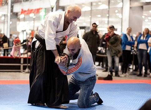 Wushu Shaolin Klubb 1902 Kung-Fu Bac Phai i Halmstads IF 1958 Borås Kung-fu och Qi-gong Klubb 2090 Tai Chi West IF