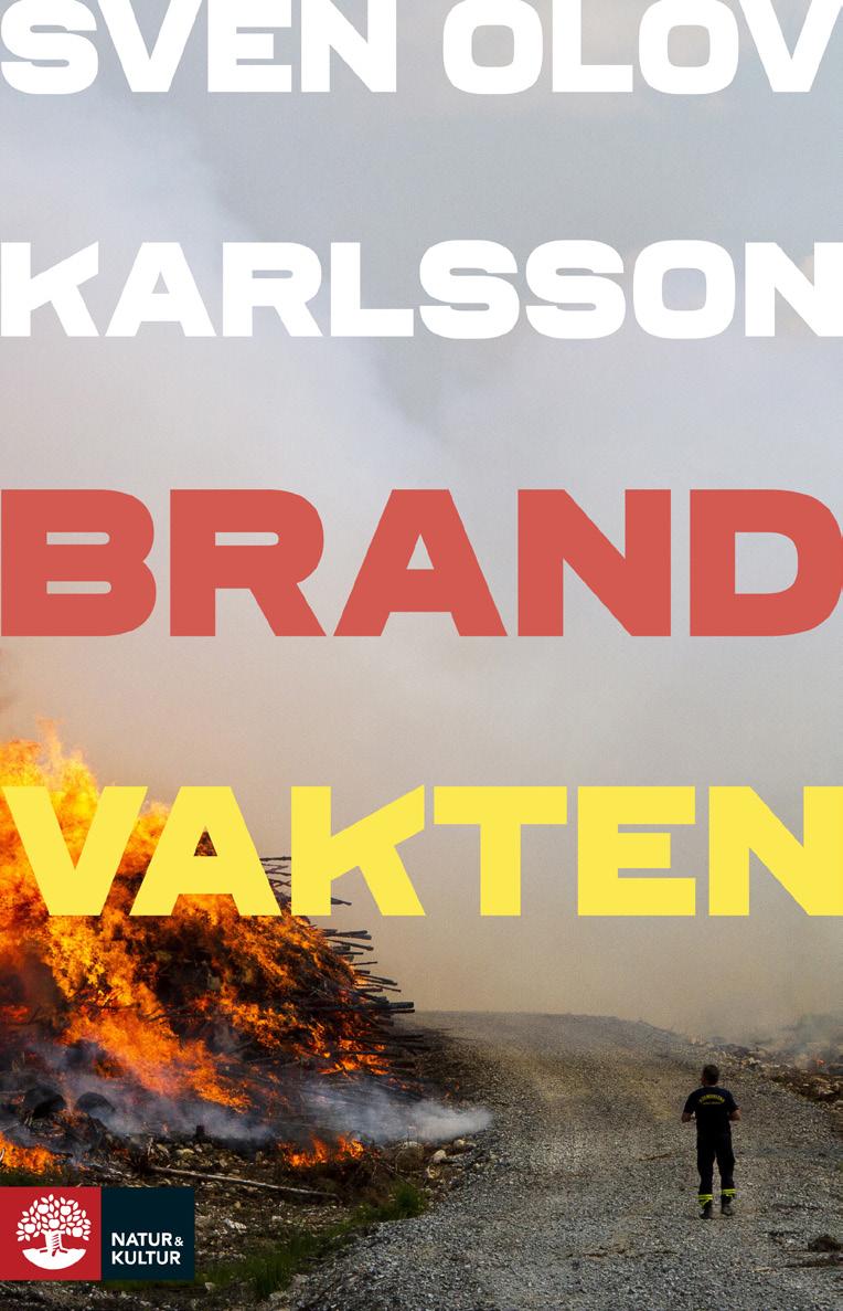Efteråt försökte han utforska om mer än bara hetta och vind orsakat katastrofen. Han fann två berättelser: en aktuell om ekonomiska nedskärningar och globala klimatförändringar.
