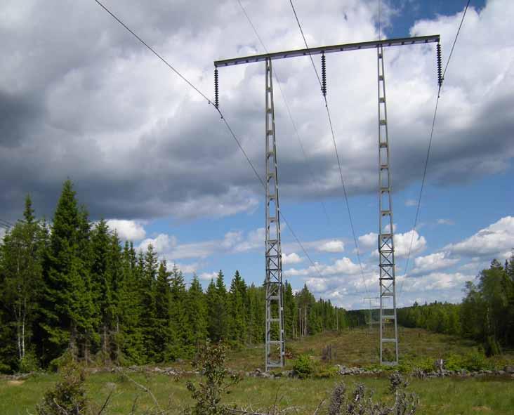 4.3 Naturmiljö Stora konsekvenser uppstår när värdekärnan i områden med höga dokumenterade naturvärden, såsom värdefulla våtmarker eller andra områden med hög biodiversitet eller som hyser