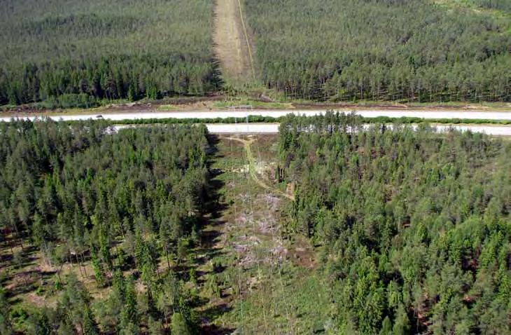 4 Skarvning av HVDC-kablarna Kablarna kommer att levereras i nominella längder på 800-000 m vilket innebär att två eller fyra skarvar kommer att installeras ungefär varje kilometer.