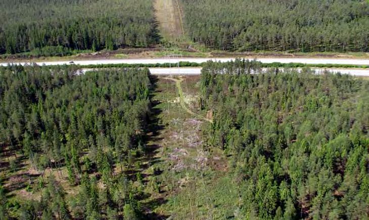 Alternativ 3 innebär att färre stolpar behöver placeras i Natura 000-området men istället måste viss randskog i mossens kanter avverkas.