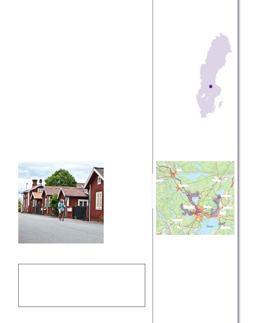 Inte en fågel flög förbi Utsläppen från kopparhanteringen gjorde att träbyggnader i och omkring Falun svartnade.