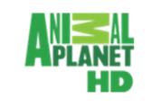 0 Barnkanalen HD / SVT24 HD Discovery Channel HD