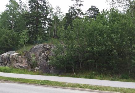 Förutsättningar, förändringar och konsekvenser av planförslaget Mark och vegetation Marken som berörs av den överliggande cirkulationsplatsen ligger till stor del inom befintligt vägområdet för