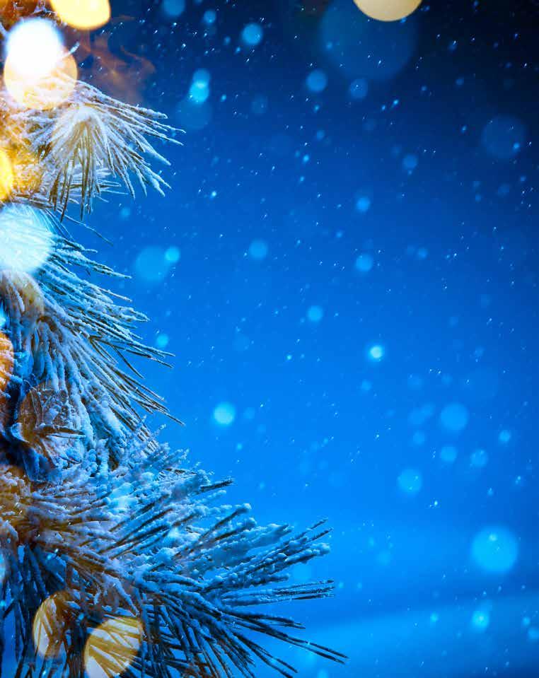 julkalender!