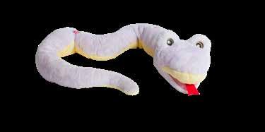 80 cm Ord.