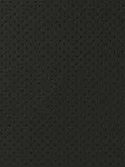 BLACK MICA (X08) WHITE