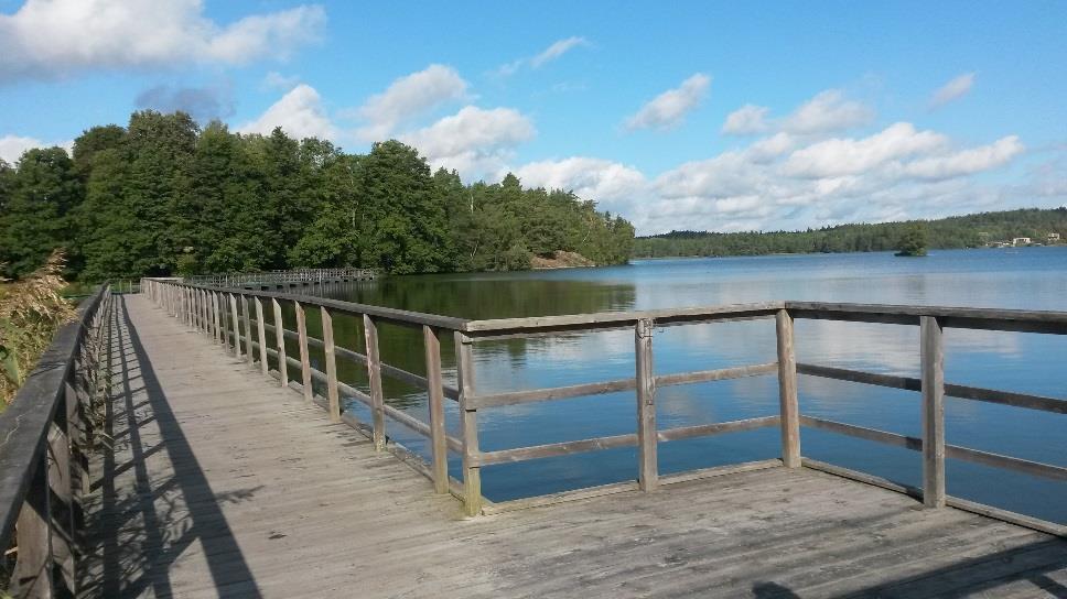Högerudsbacken För att möjliggöra för fler att ta del av utsikten från udden vid Högerudsbacken anser förvaltningen att det är acceptabelt att plana ut och
