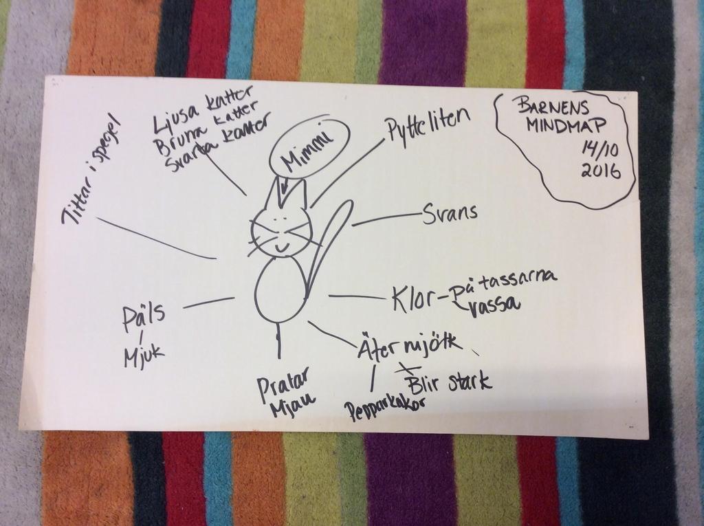 I början av temat gjorde vi en mind-map för att se vad barnen vet om katter och för att få reda på vad de vill veta.