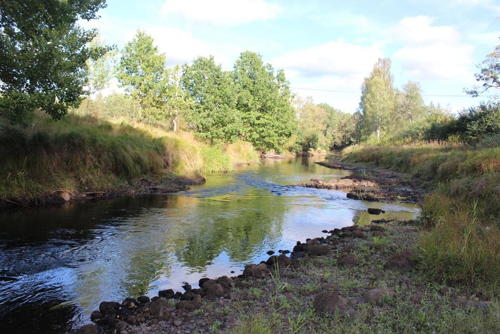 Det är idag många organisationer, myndigheter och företag som jobbar med fiske i olika former.