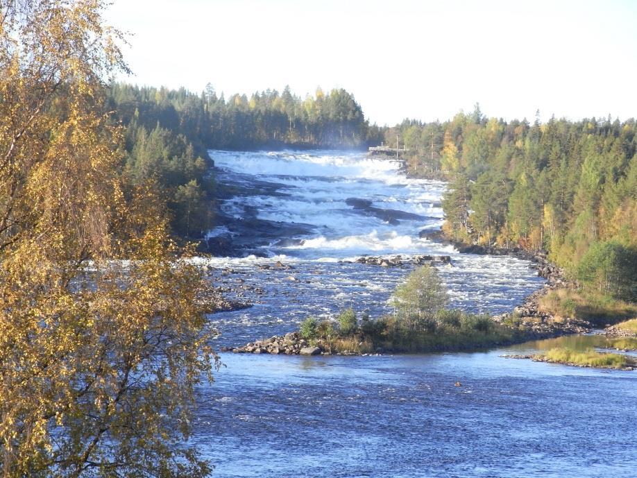 Förvaltning HaVs verktyg 1. Kunskapsförsörjning 2.