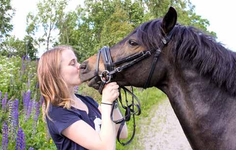 Manus returneras ej. Skadegörelse på SPORT SM-brons till Lova och Jojje Holms kyrkogård Under flera veckor har det varit skadegörelse på Holms kyrkgård. Blommor och växter har ryckts upp och kastats.