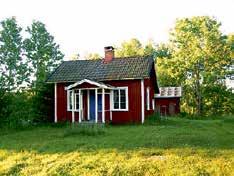 15 SM-veckan: Simning 19.00 Sportspegeln 19.30 Rapport 19.55 Lokala nyheter 20.00 FIFA Confederations cup 22.15 Mammon 23.05 Cowboykåken 23.35 SVT Nyheter 23.40 Elitstyrkans hemligheter 00.