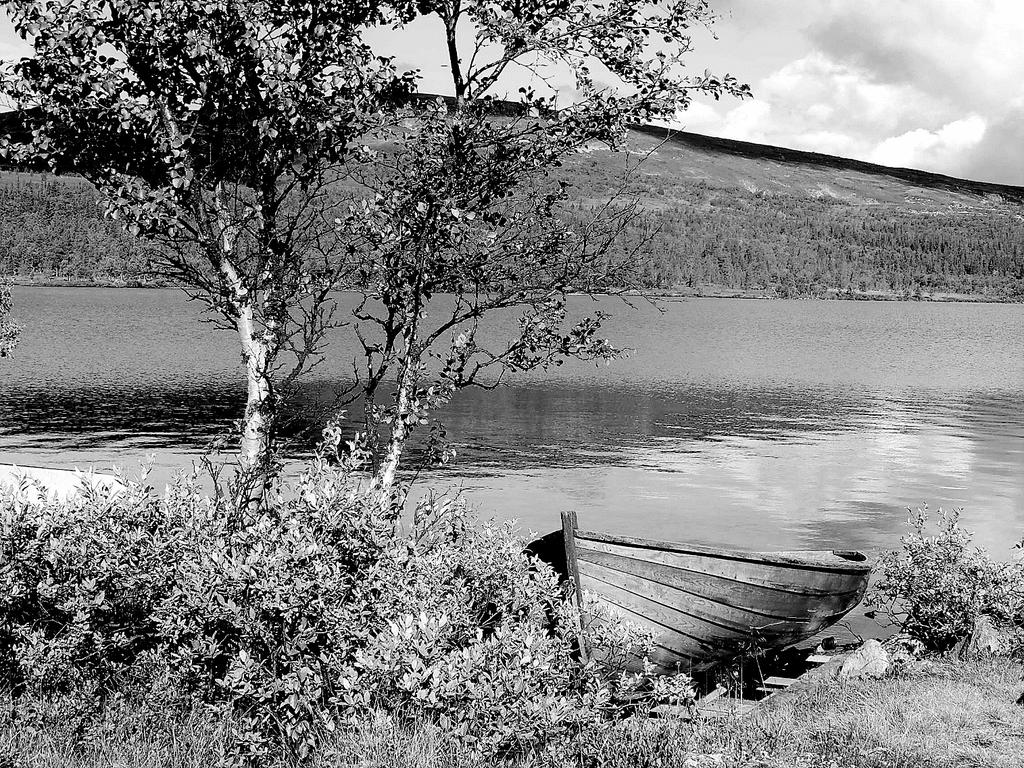 1 T-Journalen År 2017 Nr 2 april/maj Fjällsjö i Grövelsjön Foto: Per Z Medlemsutflykt lördag den 20 maj till Nobels Björkborns herrgård i Karlskoga med guidad rundtur.