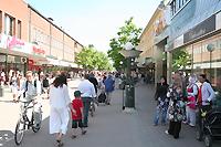 På sommaren fylls Söderhamn av blomstrande färgprakt.