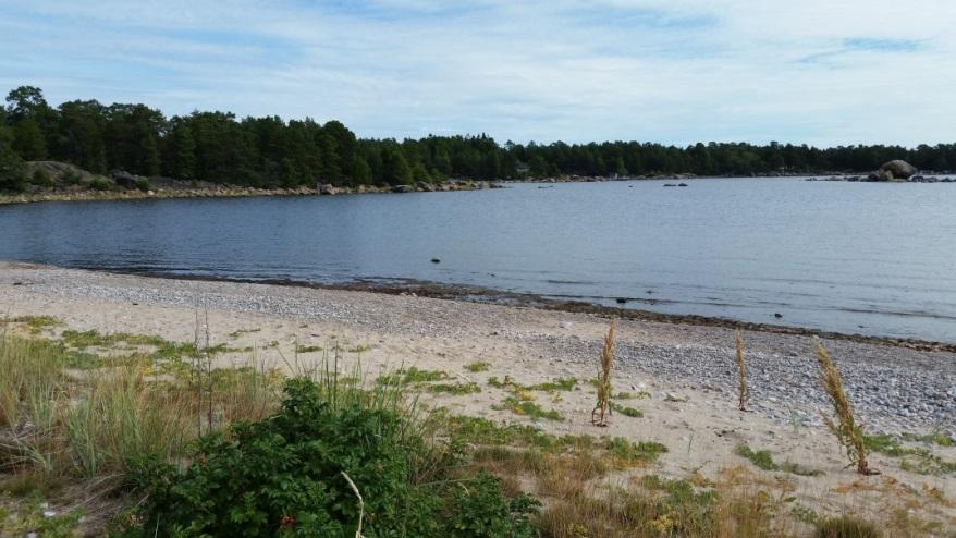 Resultat Dialogen har till stor del kretsat kring ett par centrala teman, som samtliga målgrupper inklusive gruppen övriga har nämnt, nämligen: Arbetstillfällen, bostäder, skärgård och natur samt