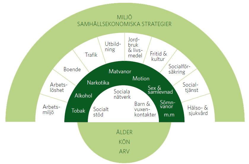 FOLKHÄLSOARBETET ÄR ALLAS ANSVAR Folkhälsoarbete syftar till att förbättra hela befolkningens hälsa och bedrivs på samhällsnivå snarare än på grupp- och individnivå.