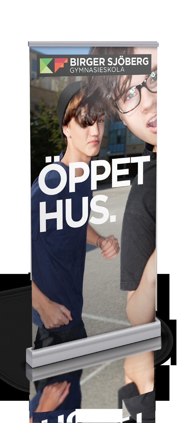 8.6 EXEMPEL Exempel på inspiration Den grafiska