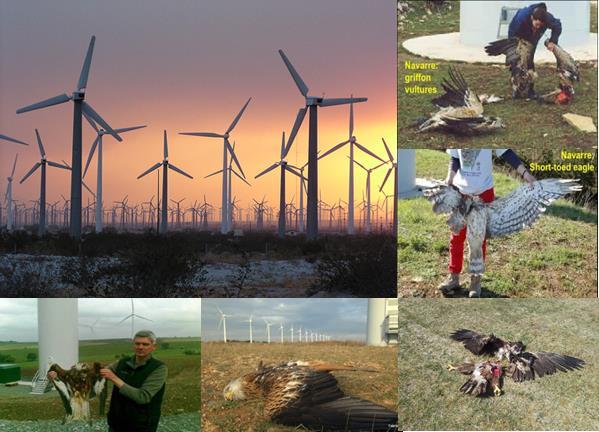 85 Tyskland är nog det land som kommit längst, men när man påstår att sol- och vindkraft kan bidra med upp till 25% av energibehovet, så betyder det inte kontinuerligt utan punktvis.