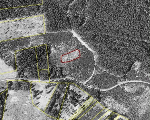 HÖGMOKÄLLAN Läge: nordost om Älvkarleby, öster om väg 76. Areal: 0,3 ha Markägare: Bergvik skog AB, sköts av Stora Enso. Ett extremrikkärr med källflöde, nära Älvkarleby tätort. Här växer det bl.