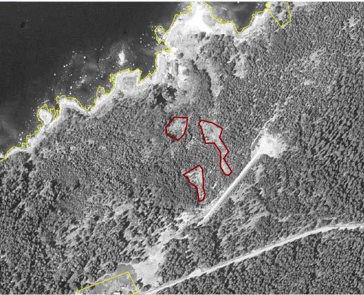 KALKUGNEN Läge: norr om vägen som går mellan Sågarbo och Långsand Areal östra: 0,2 ha Areal västra delområde a: 0,13 ha Areal västra delområde b: 0,13 ha Markägare: Bergvik skog AB, sköts av stora