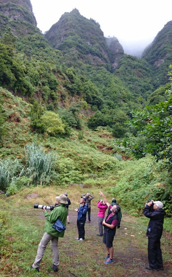 RESEDAGBOK Lördag 26 augusti Strax efter kl 17 landade sista gänget resenärer med reseledaren i spetsen på den gröna ön Madeira.