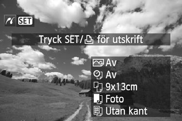 wsriva ut Menybilden och inställningsalternativen siljer sig beroende på vilen srivare du använder. Vissa inställningar anse inte är tillgängliga.