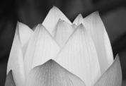 103 (exponeringsompensation) Fotografera
