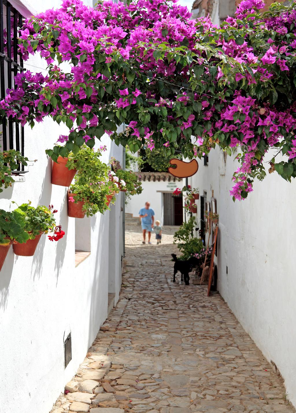 Sol och lata dagar i Andalusien NYHET! Passa på att boka en mycket prisvärd sol- och badresa till Almuñecar i södra Spanien.
