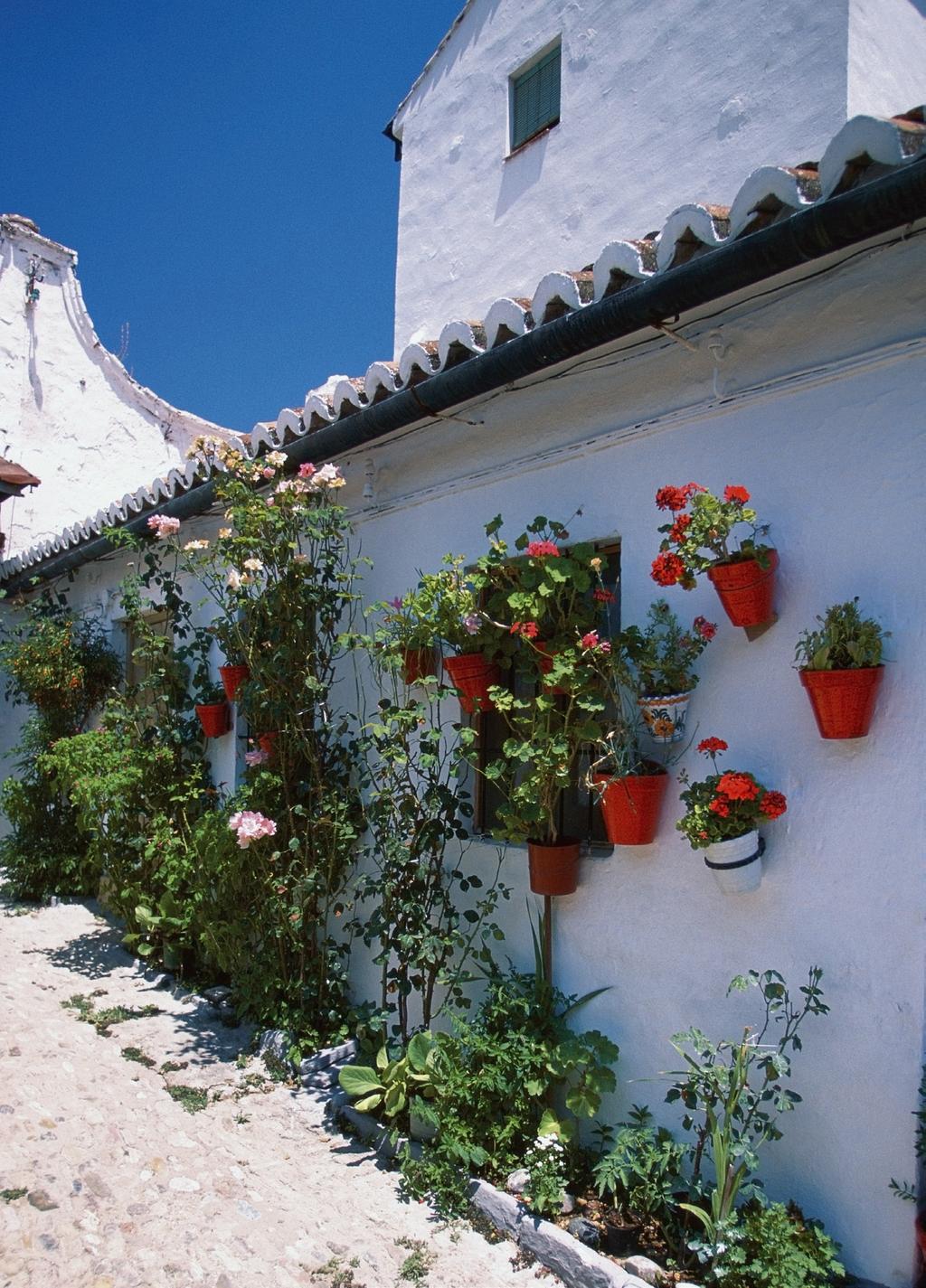 Gympa, sol och sköna dagar i södra Spanien! Följ med på en aktiv vecka med hälsa och träning i fokus ledd av Irene Samuelsson från Gymnastikförbundet.