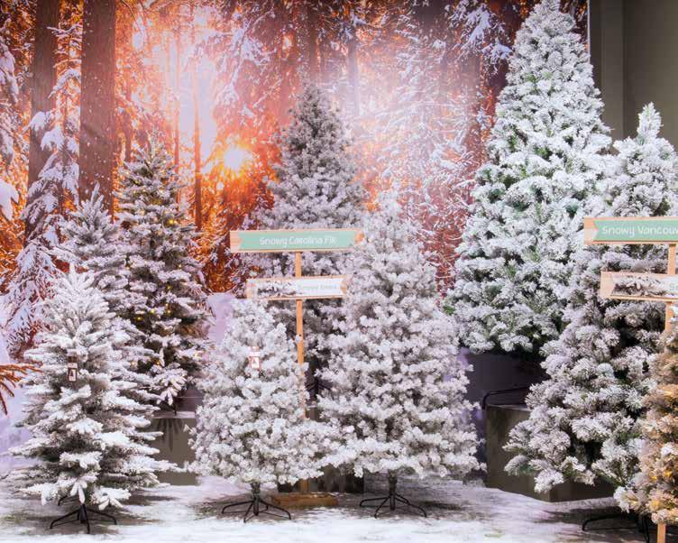 Konstgranar 21 25 JULGRANAR Fr o m advent har vi